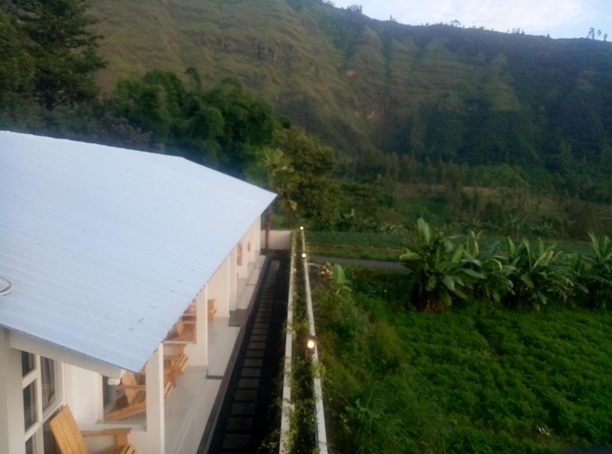 Fredelia Homestay Bromo Exterior photo