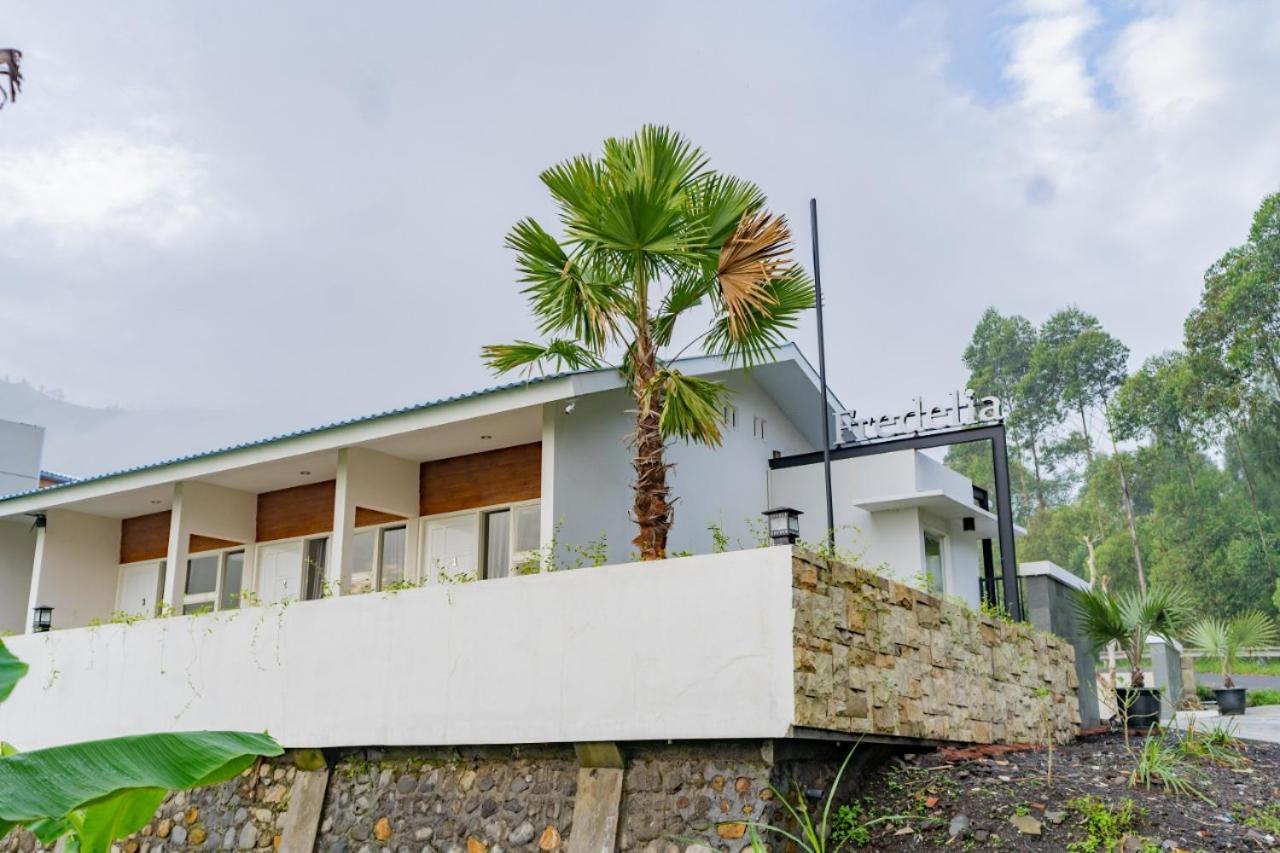 Fredelia Homestay Bromo Exterior photo