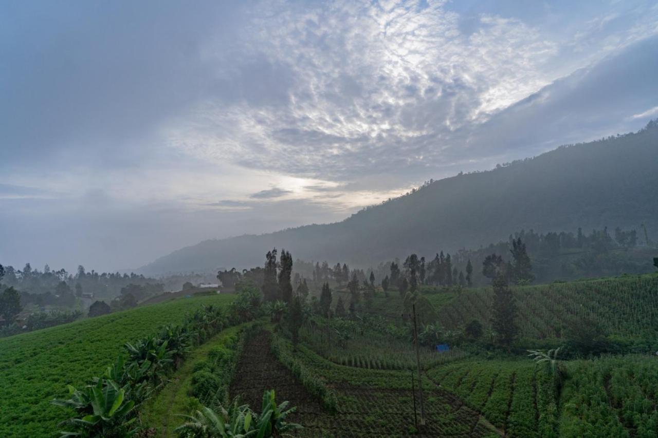 Fredelia Homestay Bromo Exterior photo