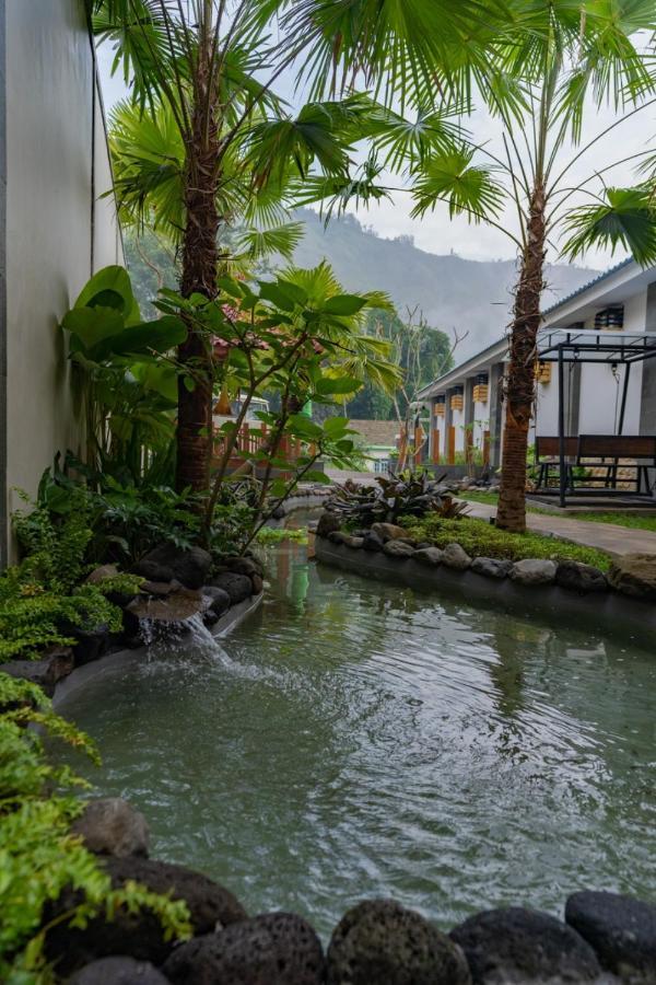 Fredelia Homestay Bromo Exterior photo